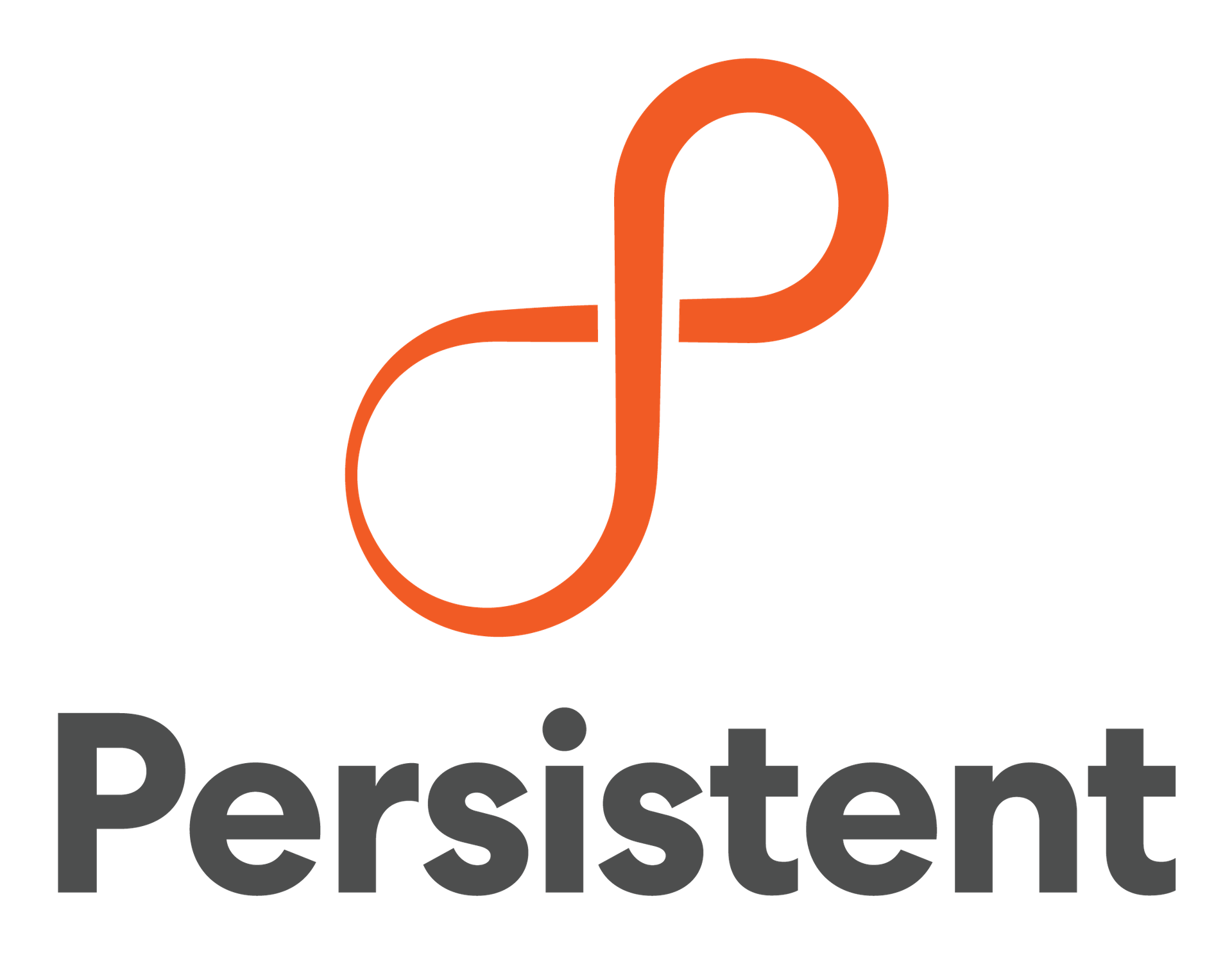 Persistent Systems
